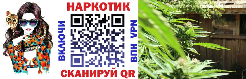 Купить Завитинск Альфа ПВП  Меф  Гашиш  Конопля 