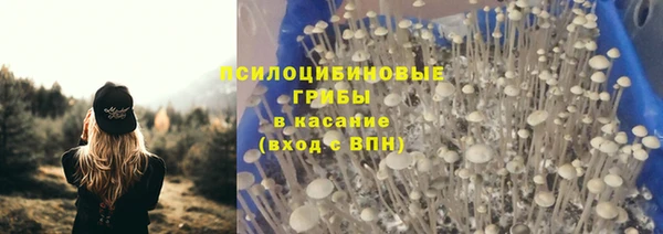 бошки Алексин