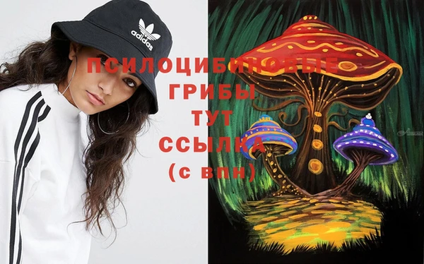 дмт Алзамай