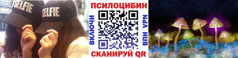 наркошоп  Завитинск  Псилоцибиновые грибы Psilocybine cubensis 